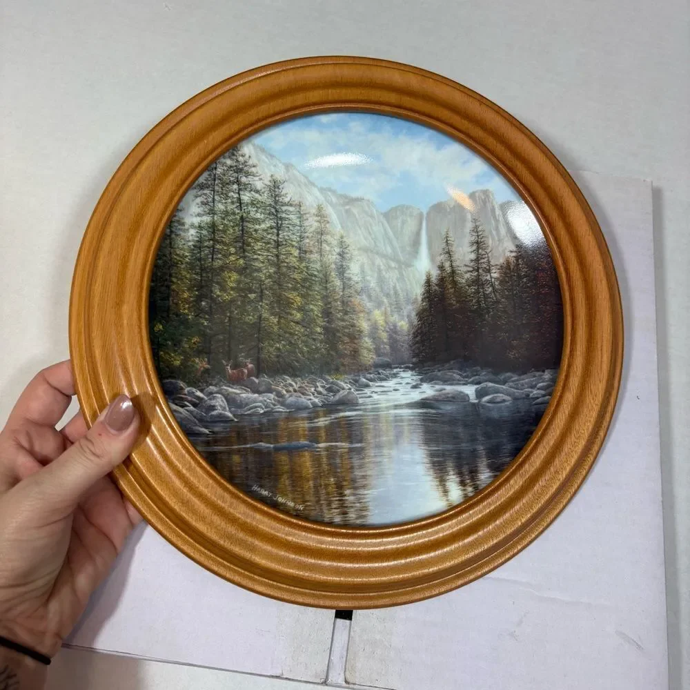 1988 Collector's Plate, Yosemite Falls Harry Johnson, NEW W.S. George Fine China